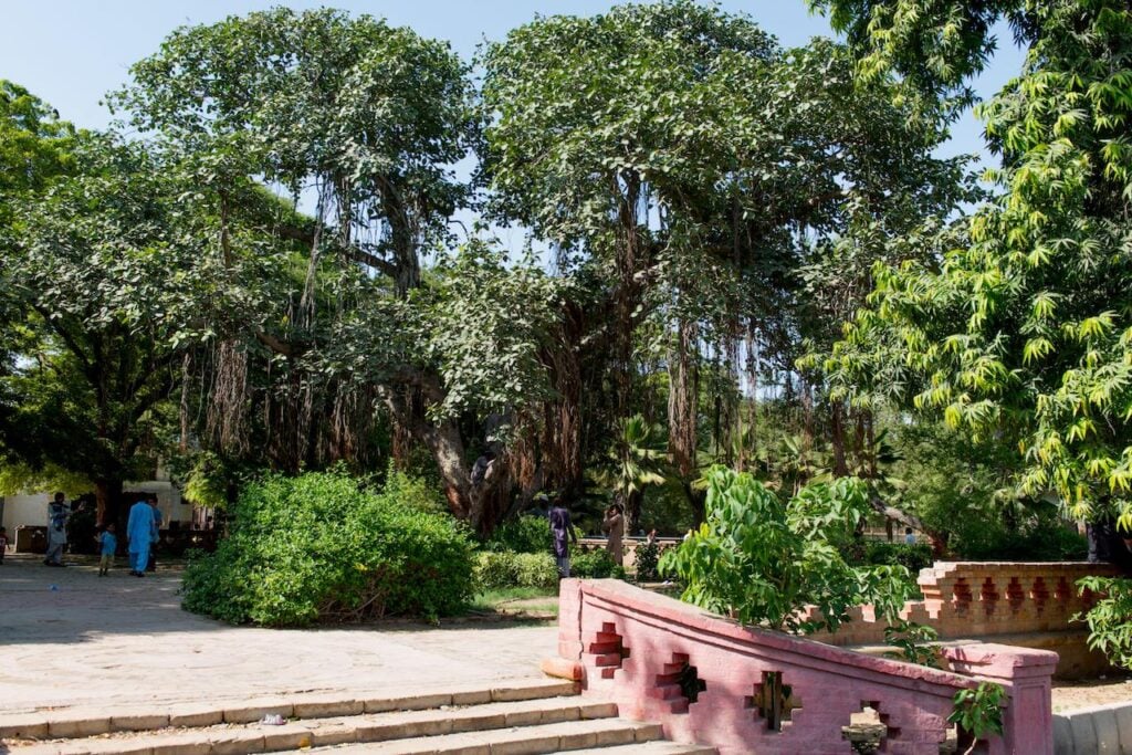 The gardens of Karachi Zoo in Pakistan