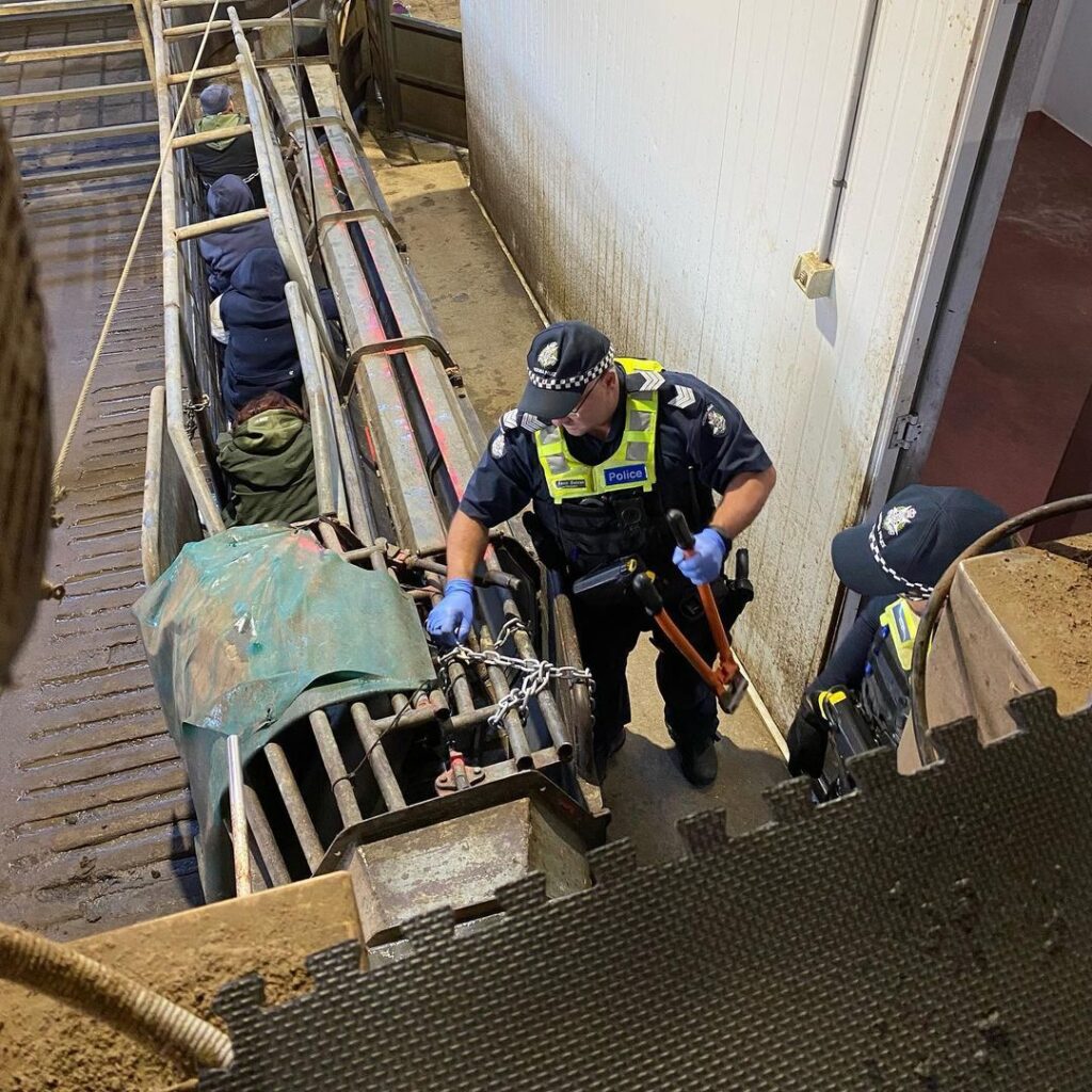 A policeman cutting the chains of activists who chained themselves to the pig gassing machines