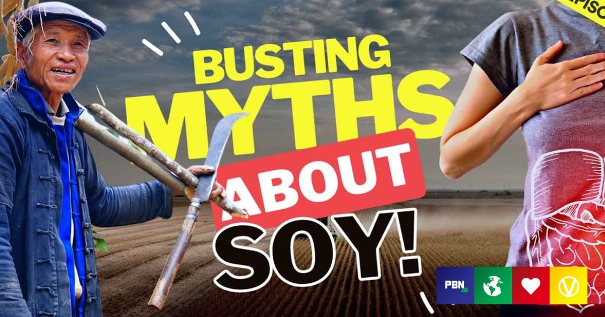 WATCH What Happens When You Eat Soy?