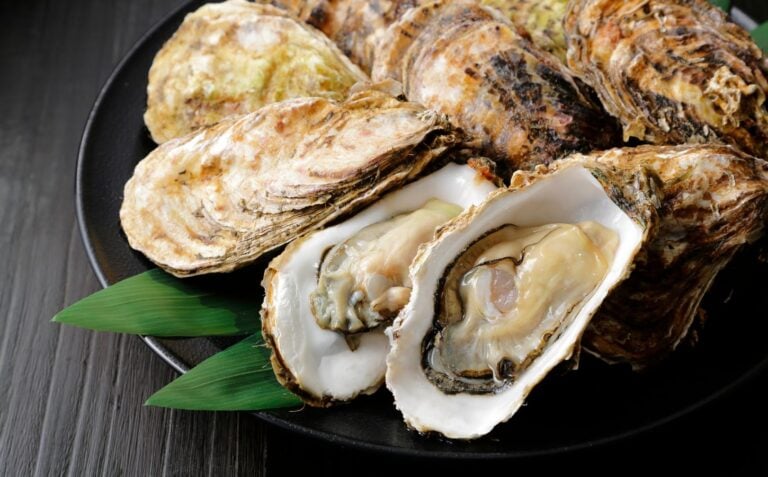 Are Oysters Vegan? The Debate Explained