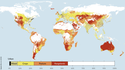 Can ‘Local Meat’ Be A Part Of A Sustainable Future Food System?