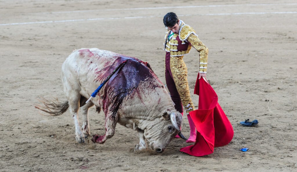 Un torero con un toro herido durante una corrida de toros en España