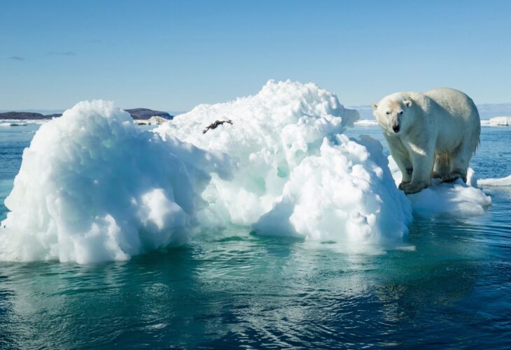 A polar bear standing on a melting ice cap surrounded by water