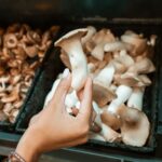 A person in a grocery store holds a king oyster mushroom, which have been growingly popular