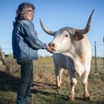 Renee King-Sonnen with a cow at Rowdy Girl vegan animal rescue sanctuary in Texas