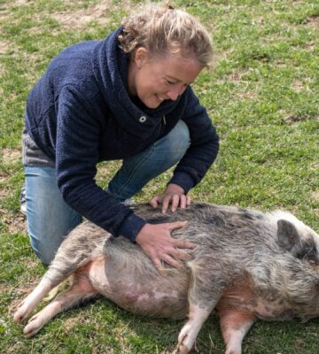 Sarah Heiligtag, a vegan who transforms farms, stroking a pig on the grass