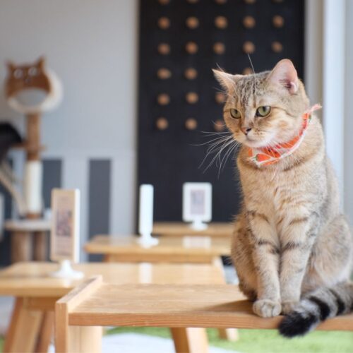 Vegan Salmorejo The Cold Summer Soup Recipe You Need To Try