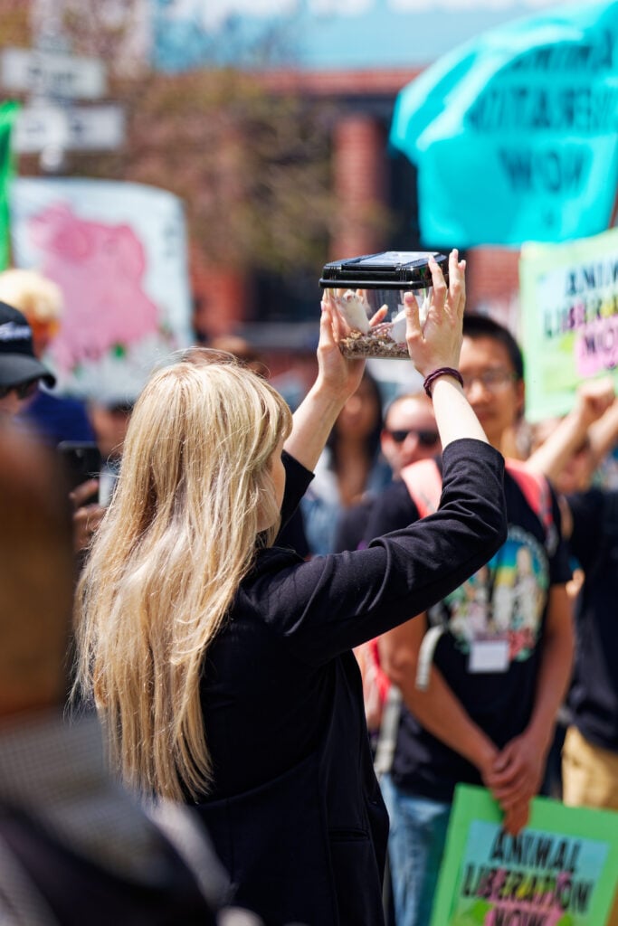 Direct Action Everywhere activist Celeste Esser carrying mice she rescued from Petco