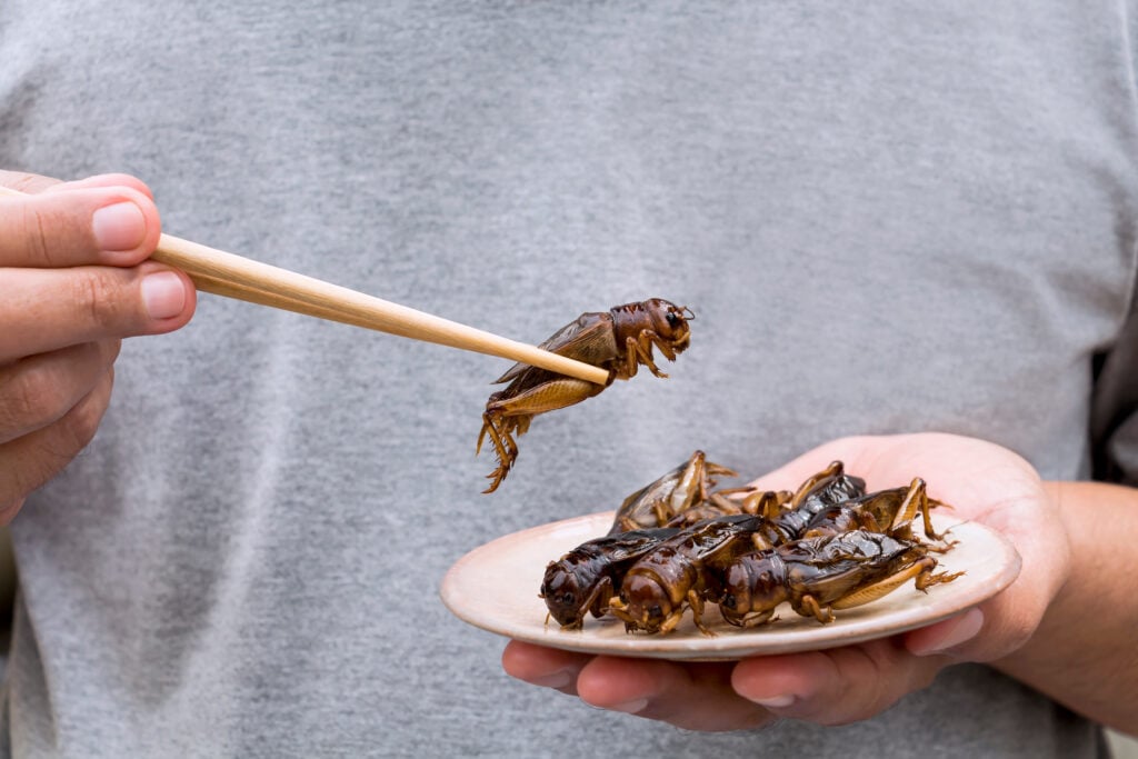 A person eating a plate of edible insects featuring crickets