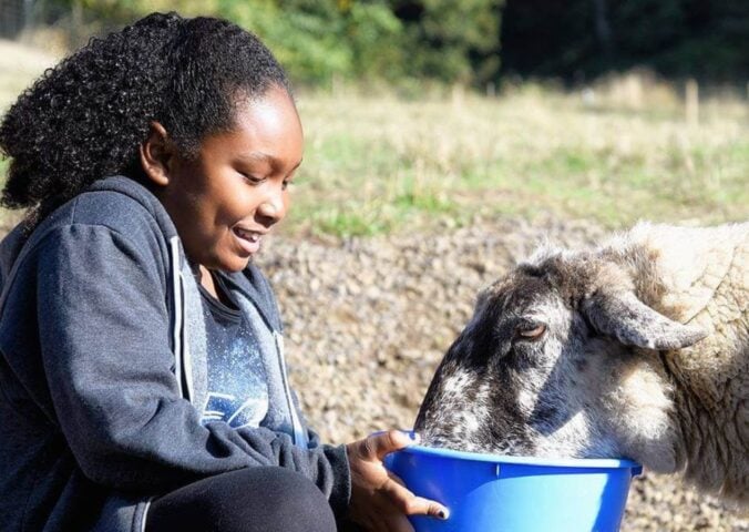 Vegan activist Genesis Butler feeding a sheep