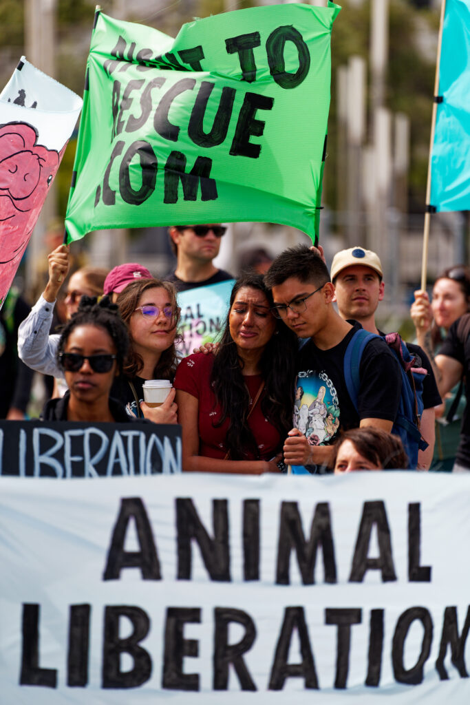 Animal rights activists comfort each other at a right to rescue march