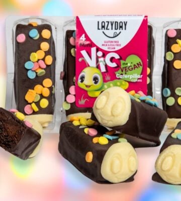 Vegan caterpillar cake with dairy-free and egg-free chocolate and decorations, made by Lazy Day in the UK