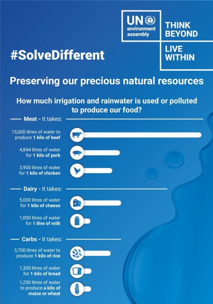 A graphic by UN Environment Programme comparing the water use and pollution of meat and plant foods