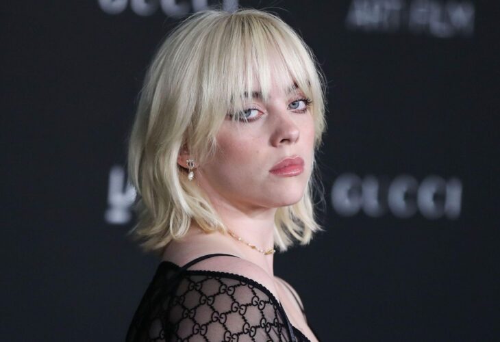 Vegan celebrity Billie Eilish on the red carpet
