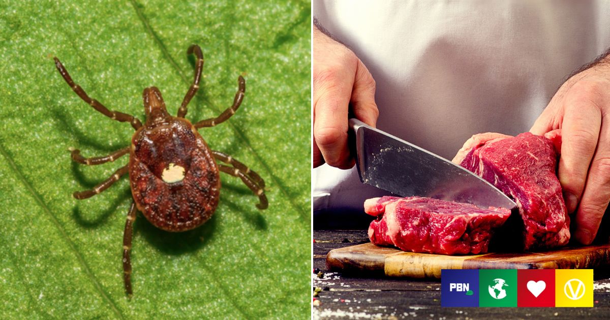 Meat Allergy symptoms Linked To Tick Bites On The Increase In US
