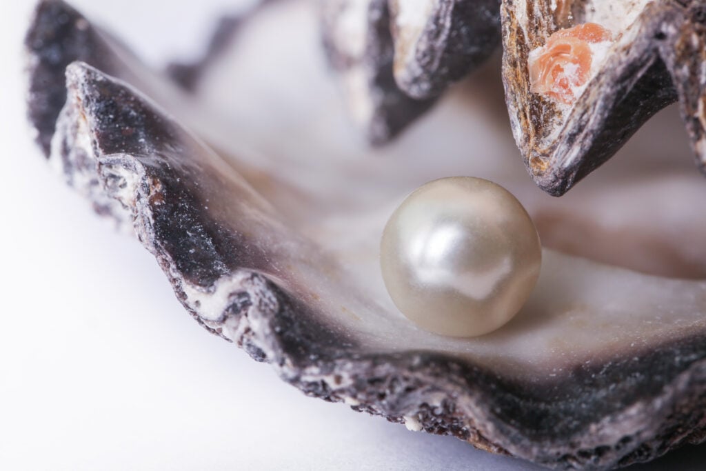 A pearl inside an oyster