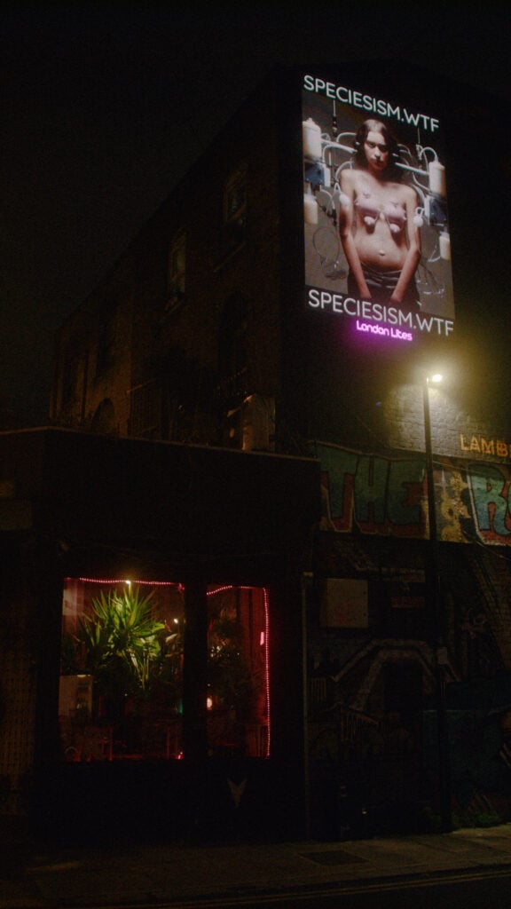 An anti-speciesist billboard on display in London