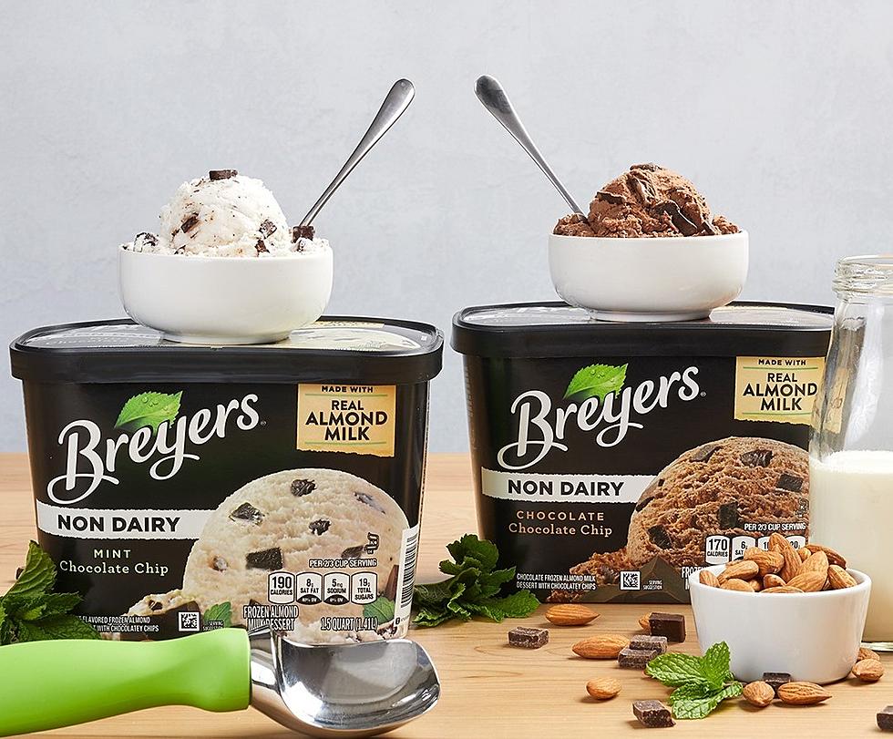 Vegan ice cream scoops and tubs by Breyers