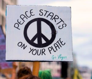 A placard reading "Peace starts on your plate" at an animal rights protest in London