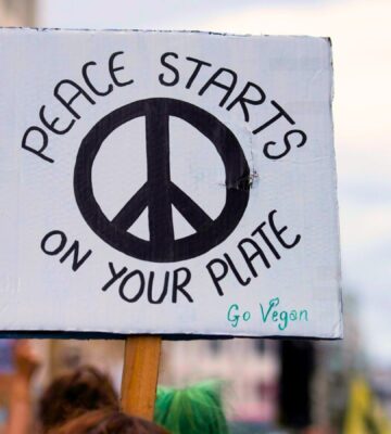 A placard reading "Peace starts on your plate" at an animal rights protest in London