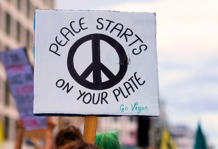 Animal Liberation: Shifting Narratives To Open Minds And Hearts