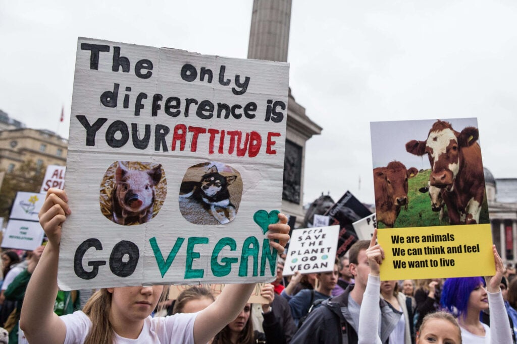 A sign reading "the only difference is your attitude, go vegan" alongside a photo of a pig and dog