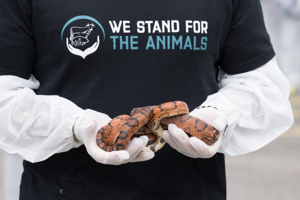 An animal activist holding a dead snake at a We Stand For The Animals memorial service