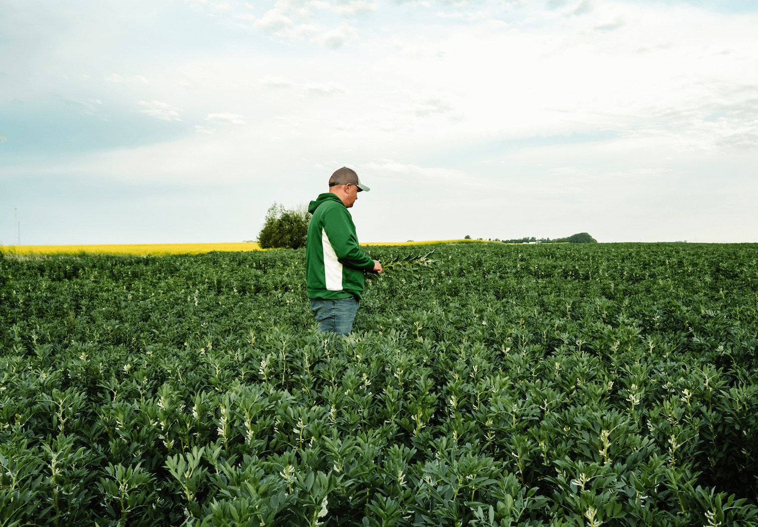 Beyond Meat Sales Fall By 30 Reigniting Plant Based Fad Debate