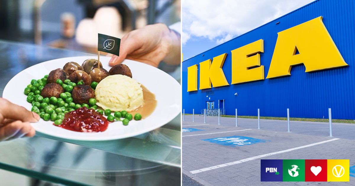 What is Vegan At IKEA United kingdom? All The Plant-Primarily based Cafe Options