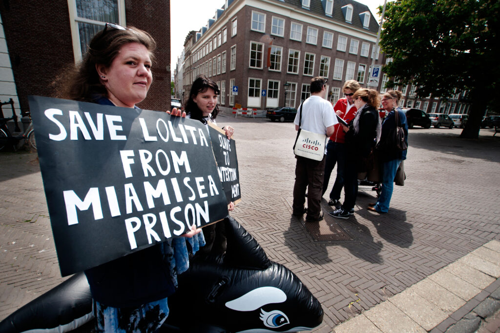 Animal activists hold signs calling for Lolita the orca to be freed from her tank