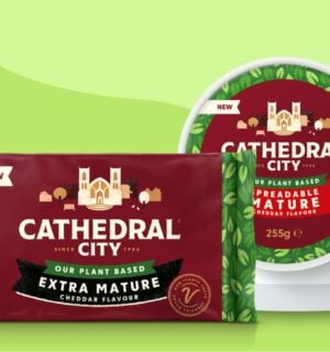 New Cathedral City vegan cheese products, extra mature cheddar and spreadable