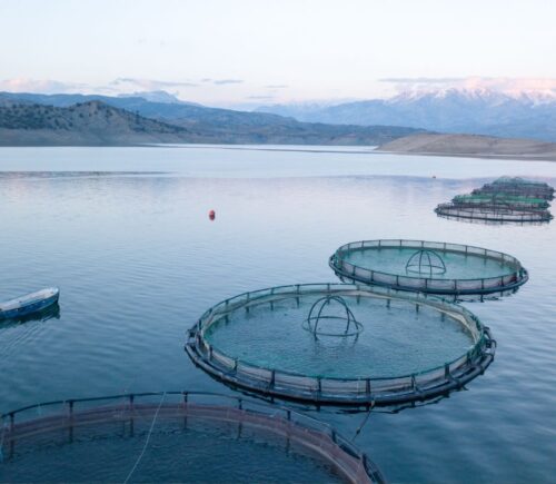 A selection of barren circular tanks at fish farms (aquaculture) in Scotland. Fish farming is often deemed to be cruel and unsustainable