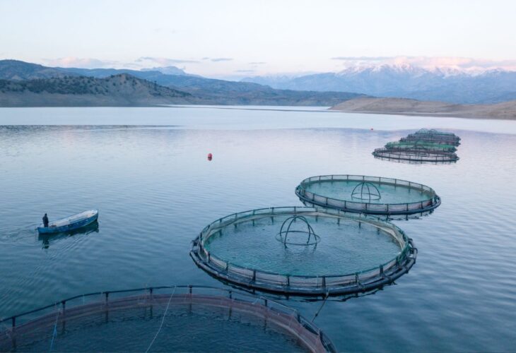 A selection of barren circular tanks at fish farms (aquaculture) in Scotland. Fish farming is often deemed to be cruel and unsustainable