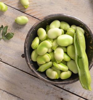 A cup of faba beans, which have been shown to be a good protein source and be good for bone health