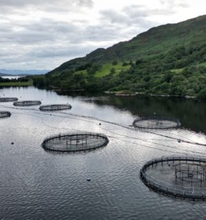 A salmon farm in a body of water in Scotland