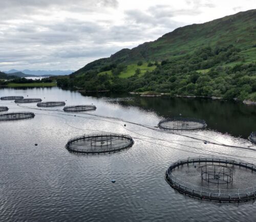 A salmon farm in a body of water in Scotland