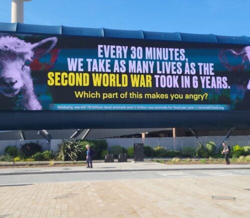 A vegan billboard from Gen V comparing slaughterhouse statistics with lives lost in World War 2