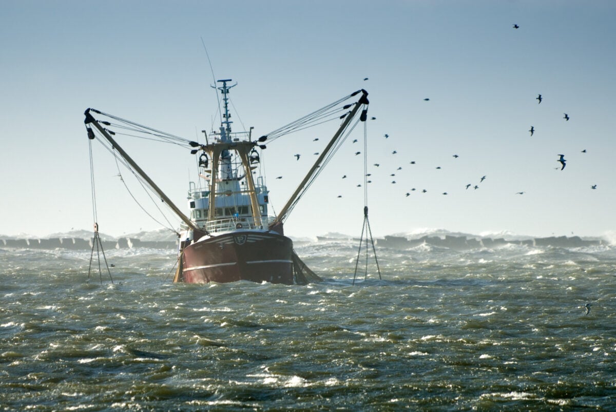 An industrial fishing boat catching fishes from the ocean