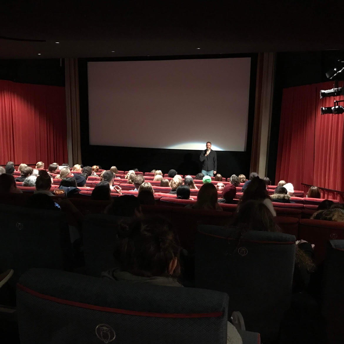 People sat in a cinema room at a "secret screening" that showed animal rights documentary Dominion 