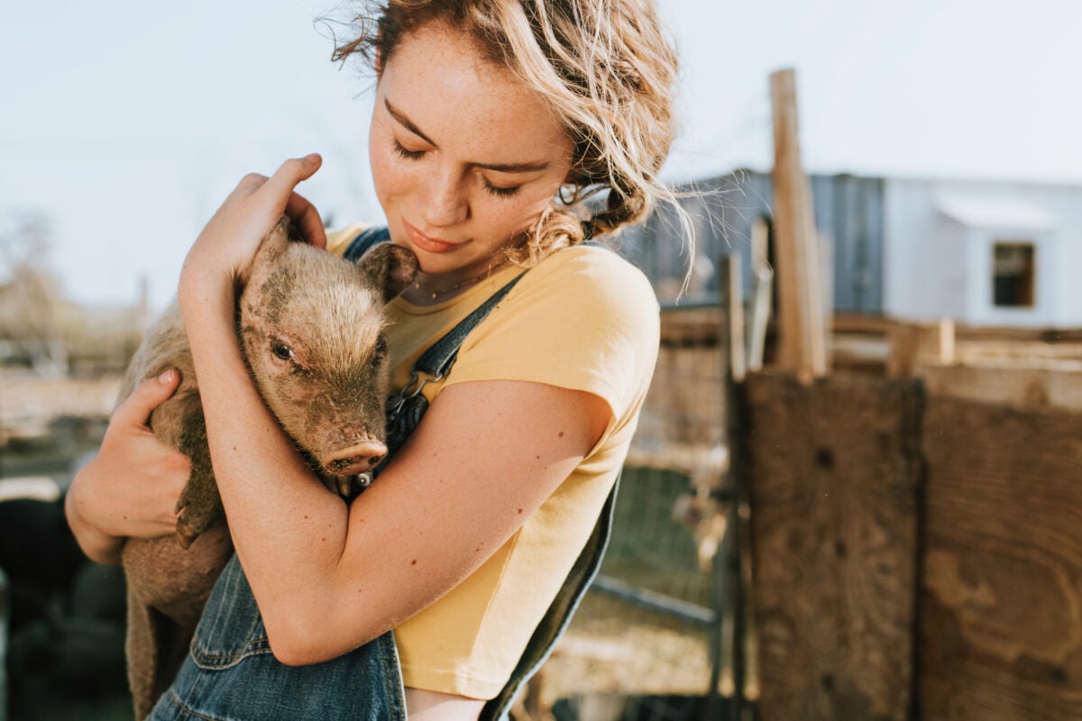 volunteer with a piglet at an animal sanctuary