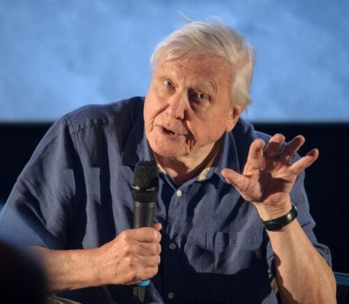 David Attenborough speaking at an event