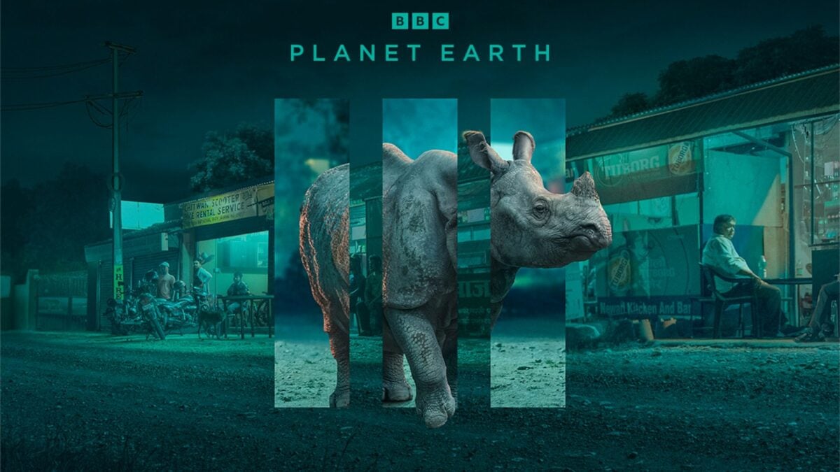 A graphic image from David Attenborough's BBC show Planet Earth