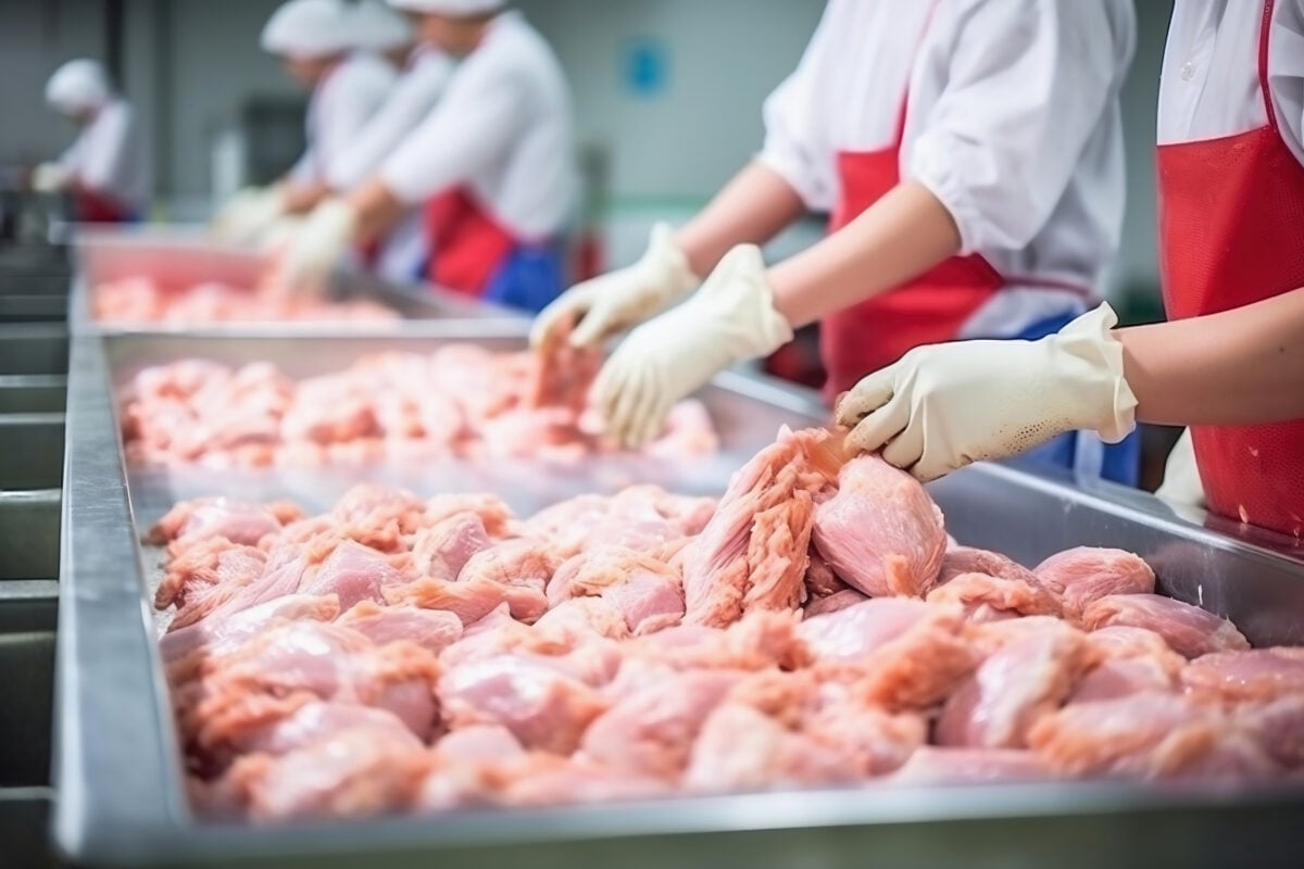 Photograph of people on a production line preparing raw poultry.
