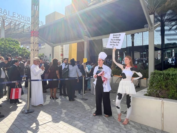 PETA protestors at COP28 calling for a transition to a plant-based food system