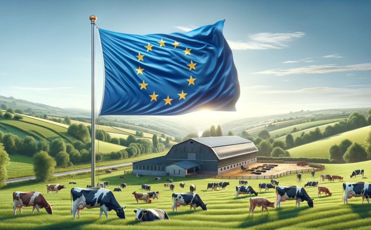 EU flag above a field of cows, as scientists warn that funding for animal agriculture is too high