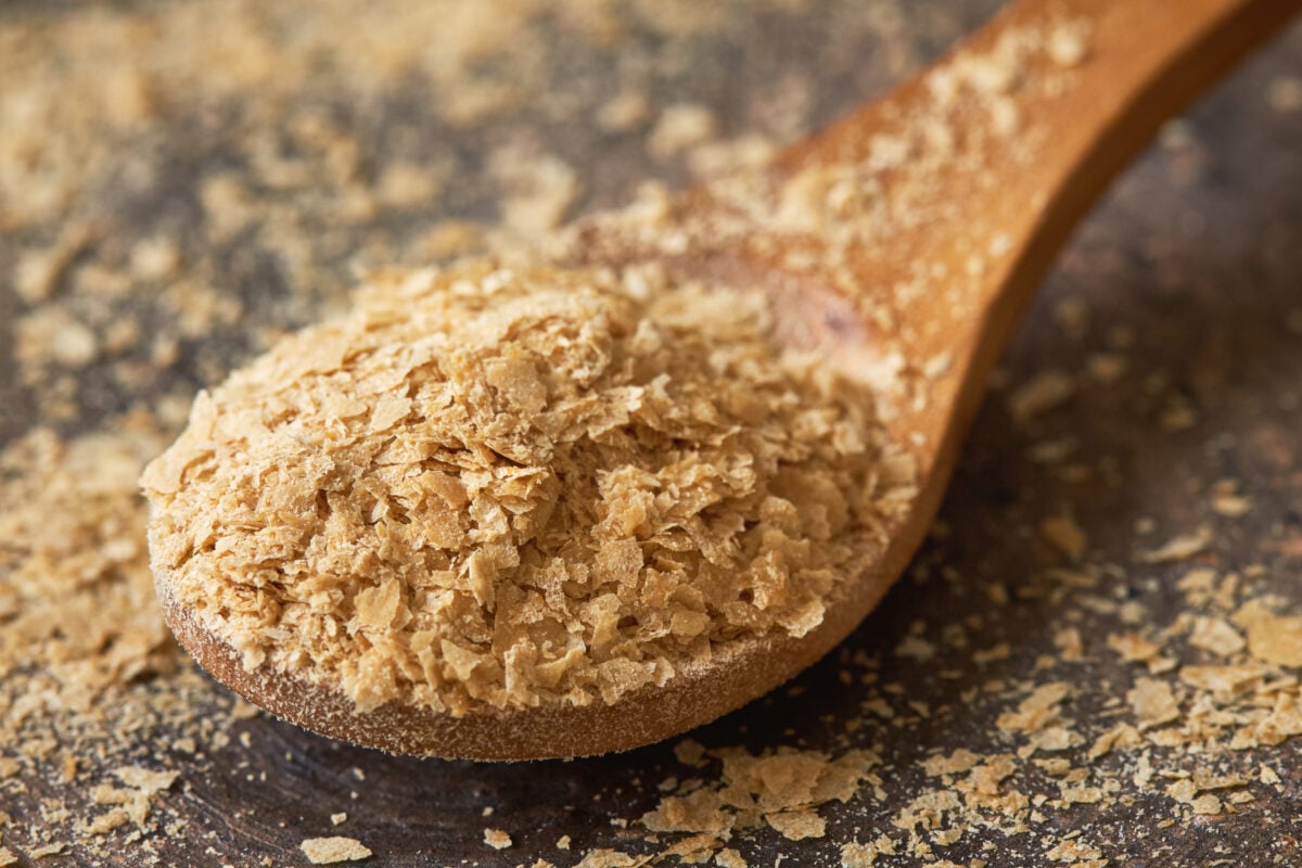 A close-up spoon of nutritional yeast