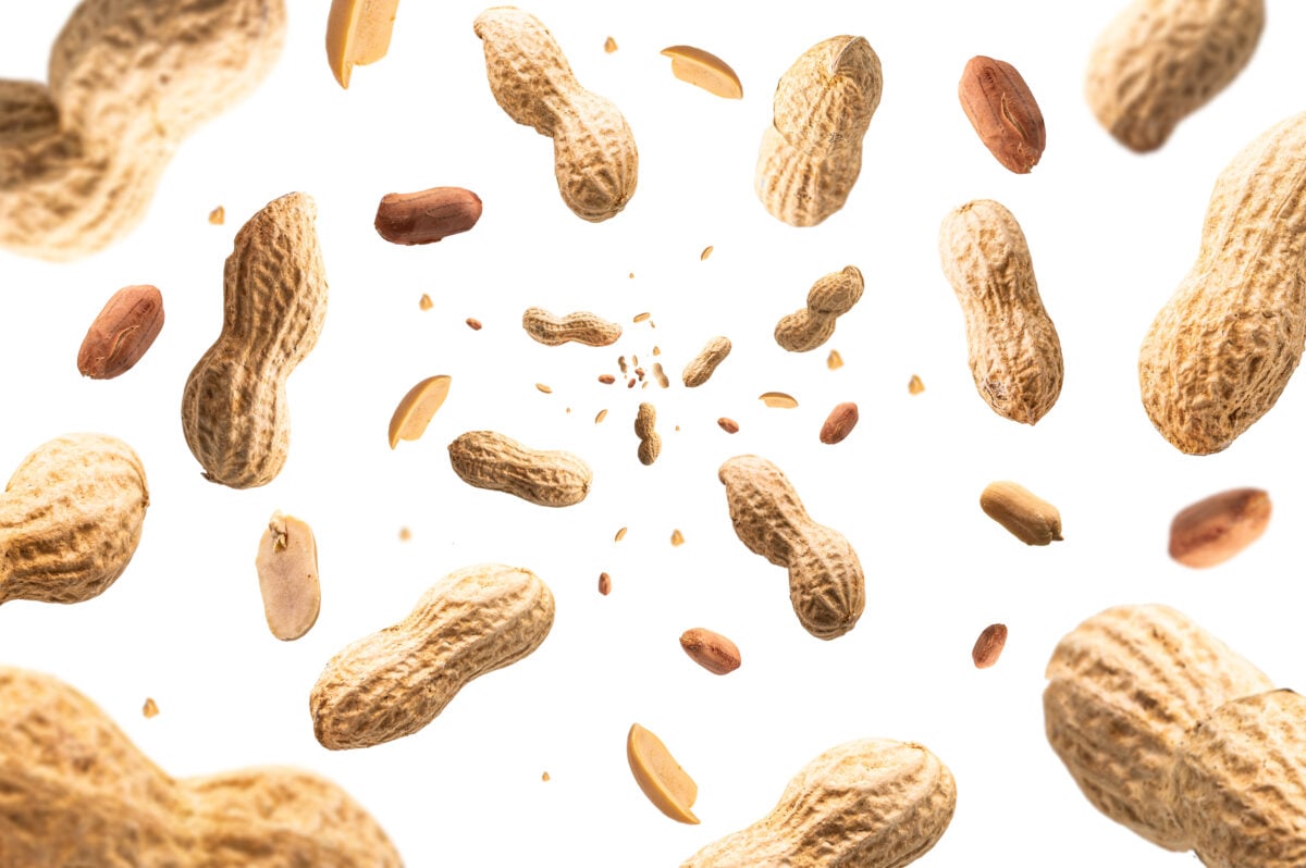 Peanuts, the number one ingredient of peanut butter
