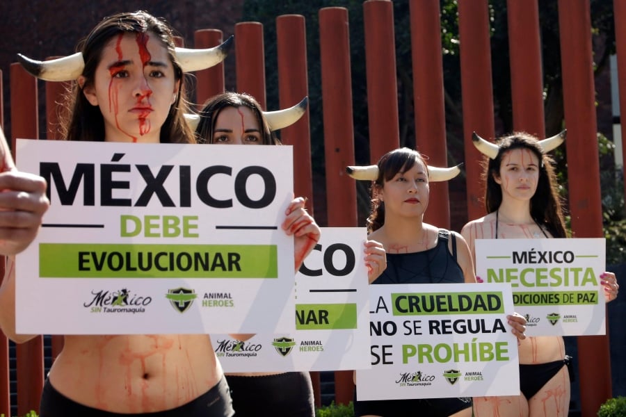 An anti-bullfighting protest from Animal Heroes in Mexico