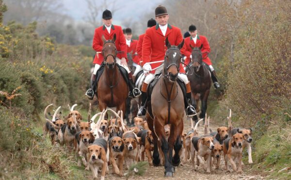 A fox hunt with hounds, which Labour has promised to ban