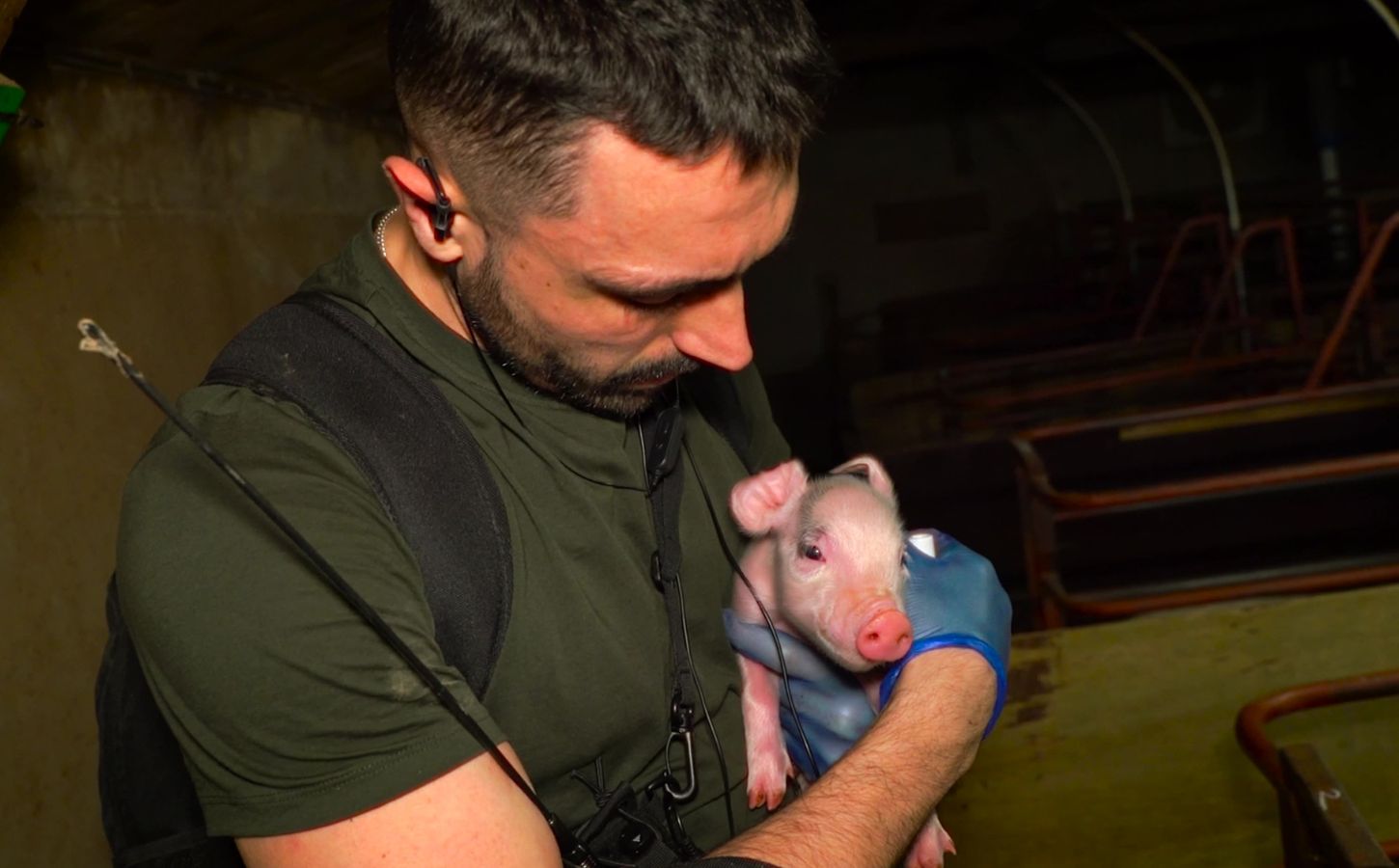 Joey Carbstrong holding a piglet in a UK factory farm, a still from his new film Pignorant
